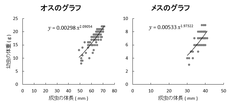 ヒラタクワガタの幼虫体重と成虫体長の関係のグラフ
